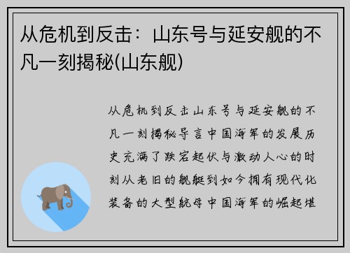 从危机到反击：山东号与延安舰的不凡一刻揭秘(山东舰)